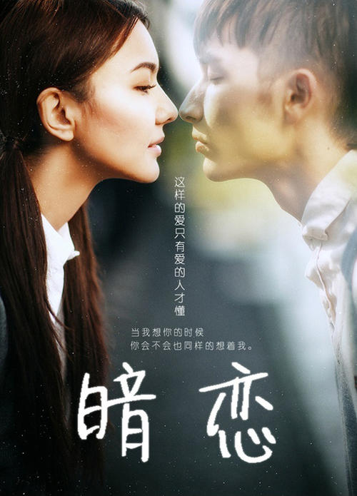 高仿密歇根州身份证
